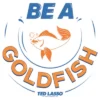 Women's Ted Lasso Be A Goldfish T-Shirt 1 Women's Ted Lasso Be A Goldfish T-Shirt -Avenue Clothing Shop GUEST 022d2ee1 d2bc 4570 a5a7 8e5b4fd96829