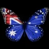 Women's Design By Humans Butterfly Flag Of Australia By GiftsIdeas Racerback Tank Top -Avenue Clothing Shop GUEST 510061eb 3b6b 41f2 881f 13dda0a8ba87