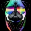 Junior's Design By Humans Rainbow Disco Pug By Clingcling T-Shirt 1 Junior's Design By Humans Rainbow Disco Pug By Clingcling T-Shirt -Avenue Clothing Shop GUEST 7dad7639 8457 46d4 901c 1934fda2c48f