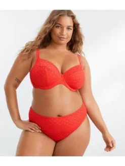 Elomi Women's Plus Size Bazaruto Mid-Rise Bikini Bottom - ES800672 -Avenue Clothing Shop GUEST d1421d30 8f23 4ded a3dd 64d46c17d71f